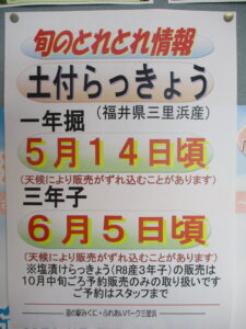 20260528とれとれ情報1