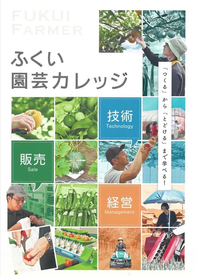 カレッジ